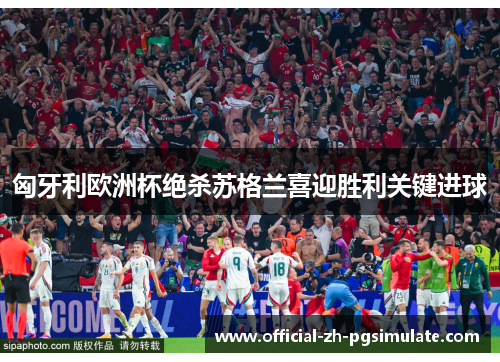 匈牙利欧洲杯绝杀苏格兰喜迎胜利关键进球